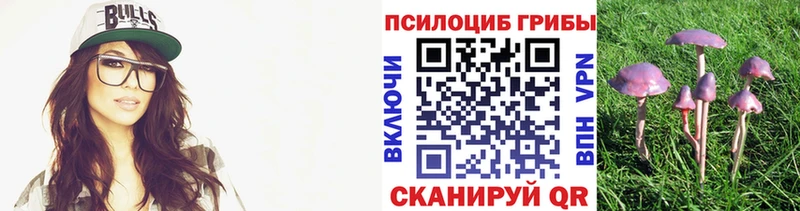 Псилоцибиновые грибы мицелий  Купить закладки  Перевоз 